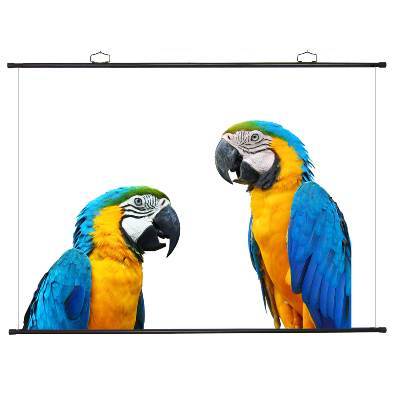 �ȹ� 120Ӣ�� 4:3/16:9/16:10ͨ�ñڹ�Ļ�� ���׹ұ�Ļ�� ͶӰĻ�� ͶӰ��Ļ�� ͶӰ��Ļ�� 