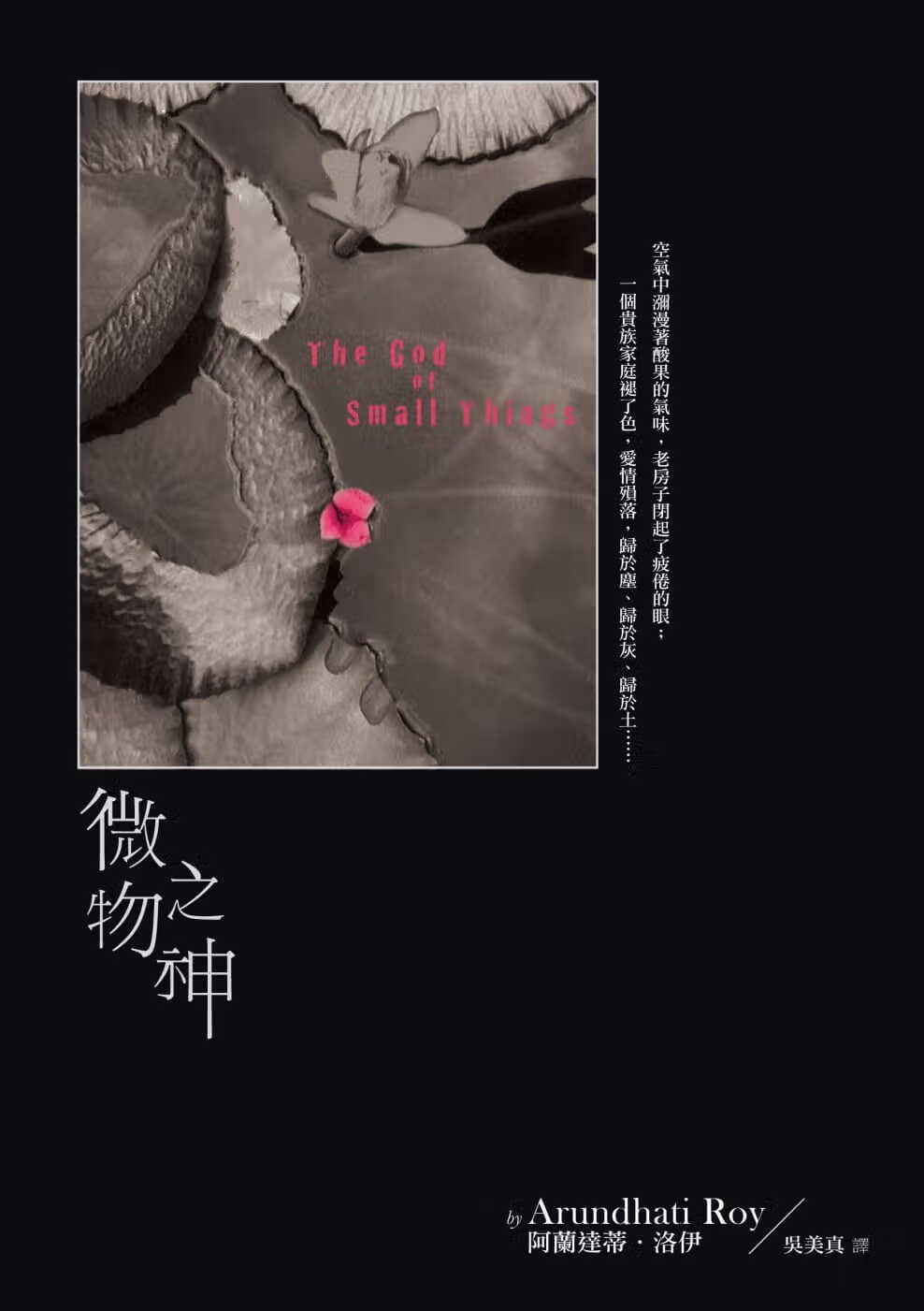 现货 阿兰达蒂洛伊微物之神天下文化台版原版书籍