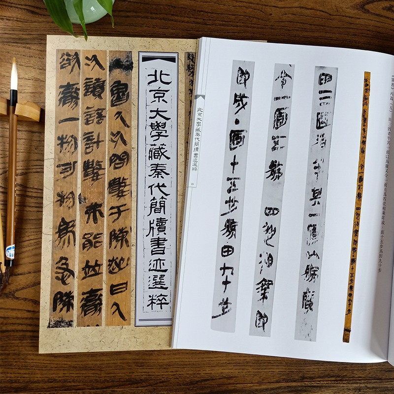 北京大学藏秦代简牍书迹精粹8开秦简竹木书法高清照片红外高清放大附