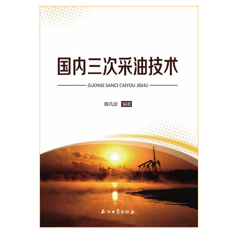 国内三次采油技术 陈凡云 编著 促销1石油工业出版社