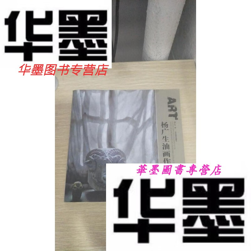 【二手9成新】杨广生油画作品集