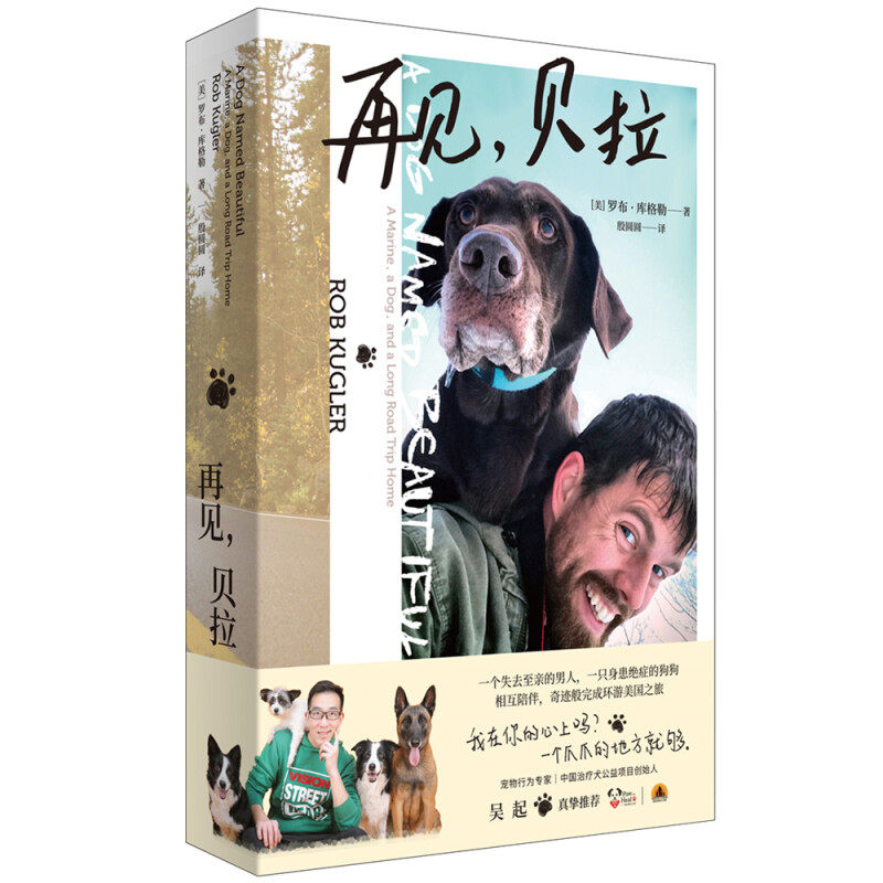 再见贝拉（李佳琦爱犬治疗师吴起真诚推荐！同行2000公里创造的生命奇迹，一段人与狗狗相互治愈的暖心 再见，贝拉
