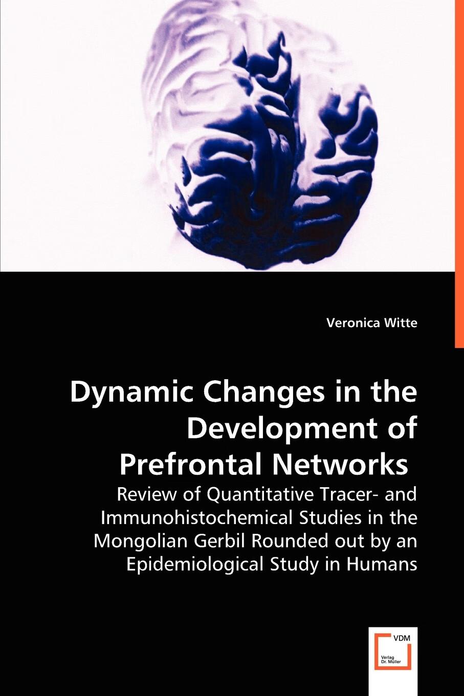 预售 按需印刷】dynamic changes in the development of prefrontal