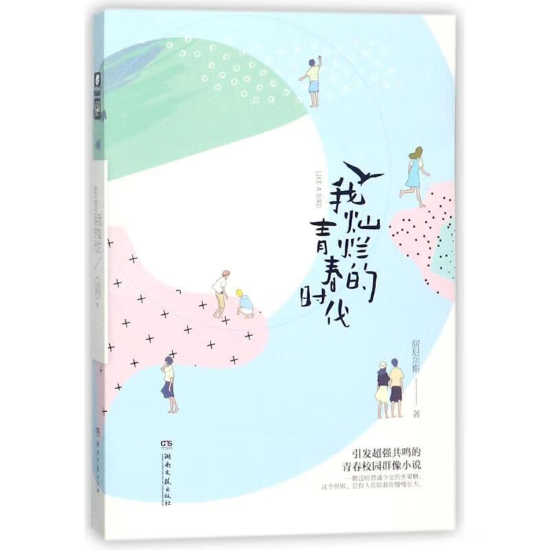 我灿烂的青春时代