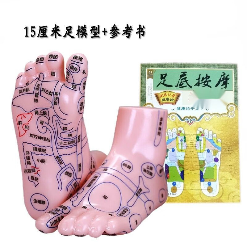汁寒磐穴位模型人体穴位脚模型足底按摩器足部反射区双足经络模具图足疗 15厘米双足+足书
