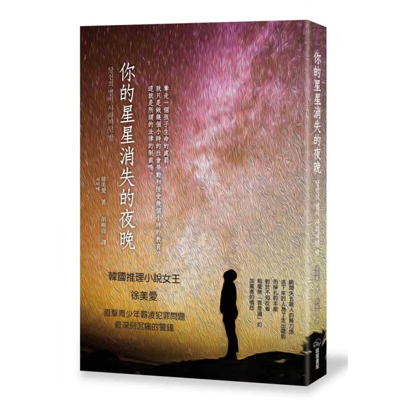 现货 你的星星消失的夜晚 19 徐美愛 暖暖書屋  进口原版