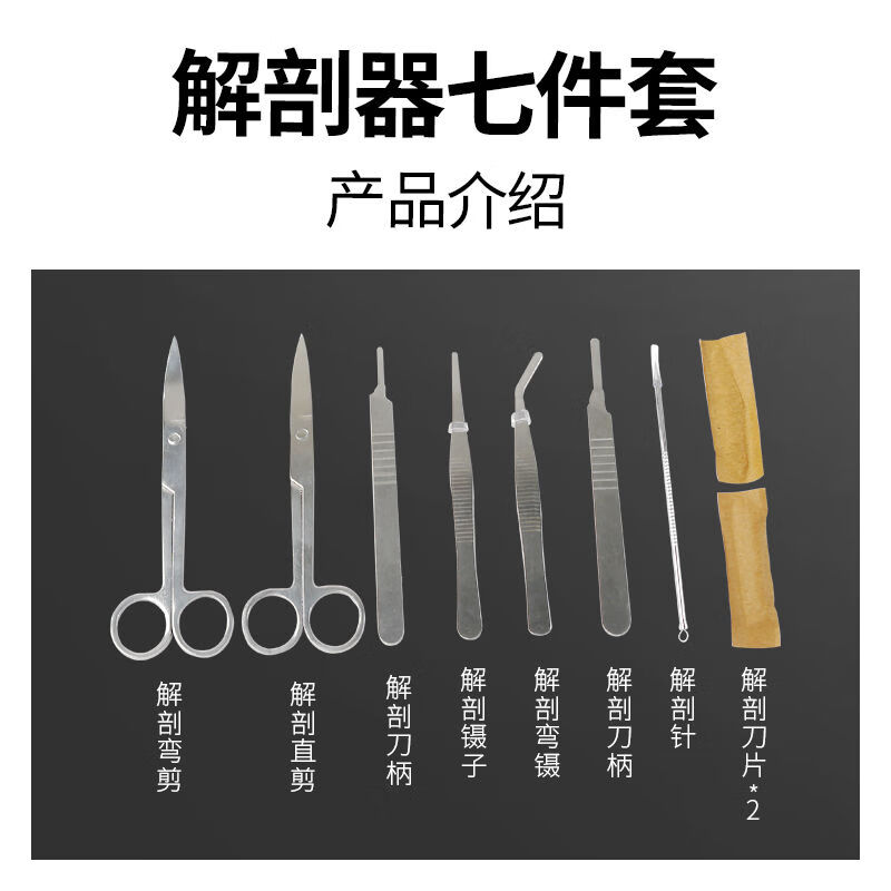 解剖工具解剖刀解剖针剪刀镊子刀片生物实验器材标本制作工具温妤