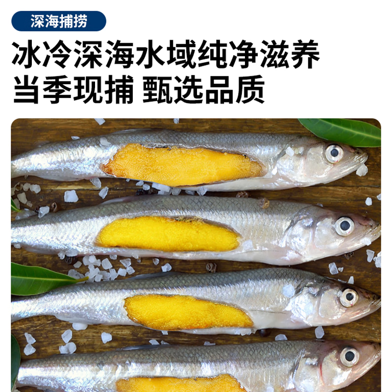 朵芙满籽多春鱼  特大多籽多春鱼净重 约30条/斤多子鱼烧烤食材海鲜 【3斤】满籽特大号13-15cm