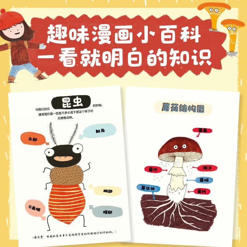 图 4