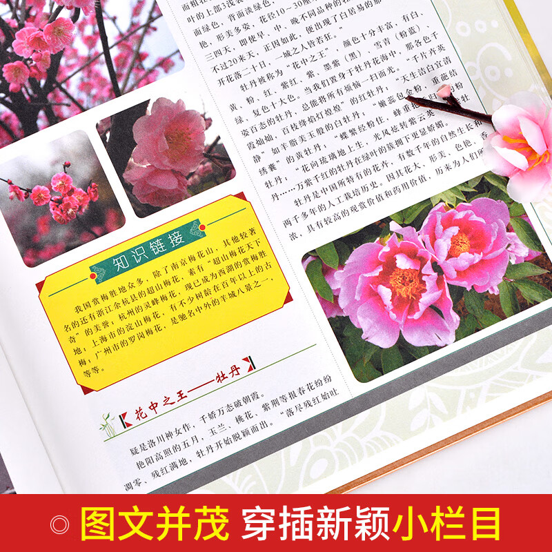 植物百科（套装共4册 彩色图鉴）详情图