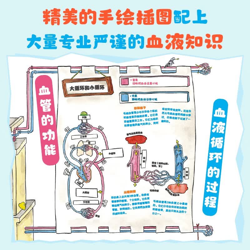 心脏城堡详情图