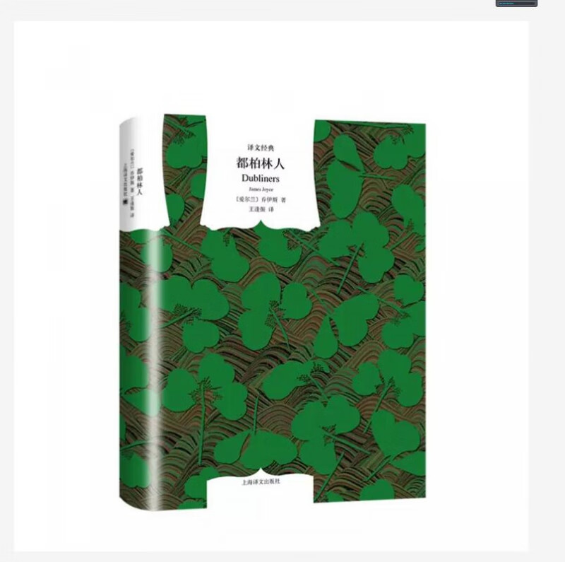 都柏林人(精)/译文经典 (爱尔兰)乔伊