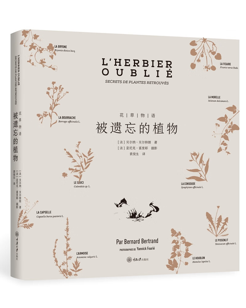 花草物语：被遗忘的植物