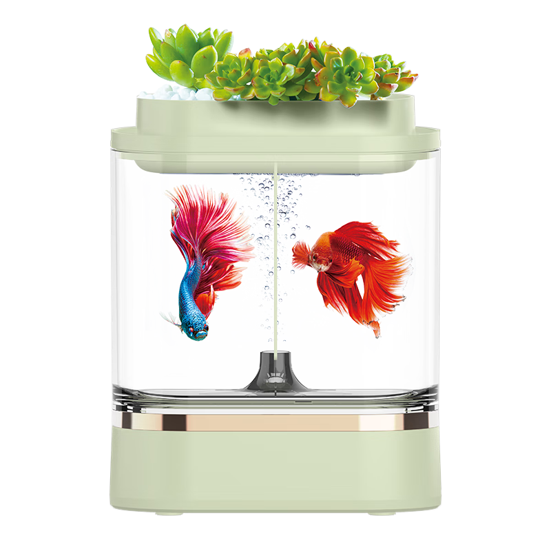 畫(huà)法幾何斗魚(yú)缸 桌面生態(tài)金魚(yú)缸c300客廳家用魚(yú)缸迷你懶人亞克力小型魚(yú)缸 【底濾制氧】斗魚(yú)缸c300