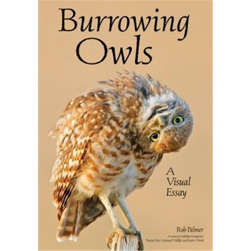 预订burrowing owls:a visual essay