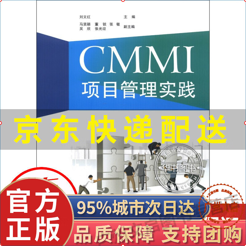 CMMI项目管理实践图书 管理 项目管理 红色