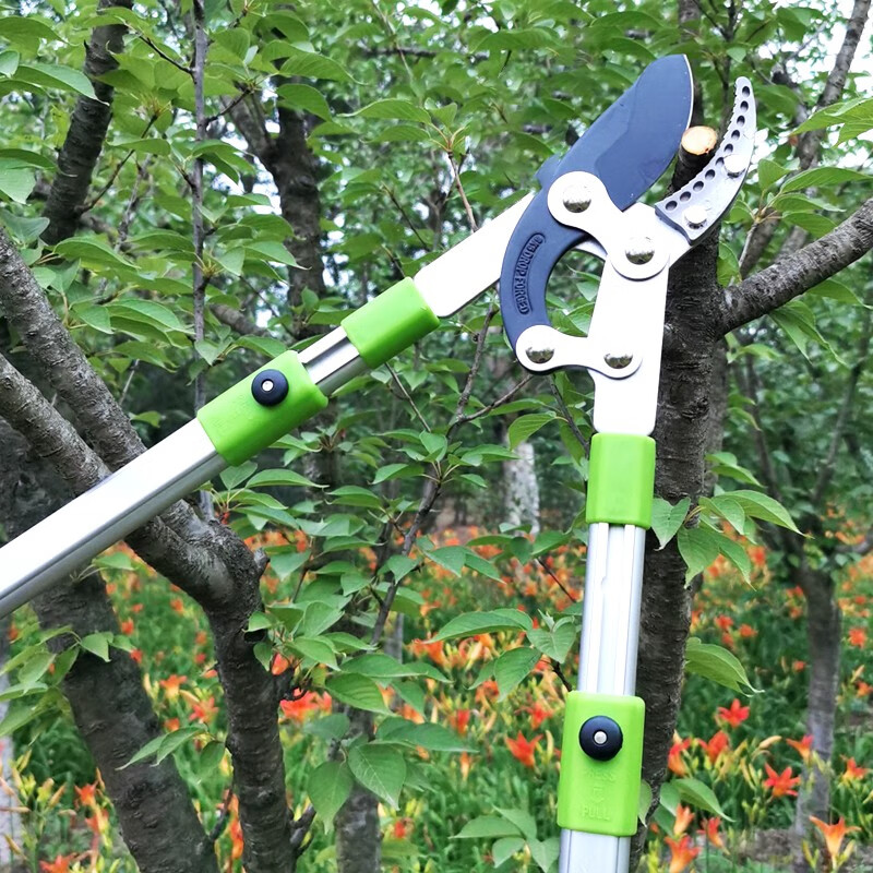花润露粗剪枝条剪刀园艺剪树枝修枝剪花剪园林工具修剪粗枝剪子压力