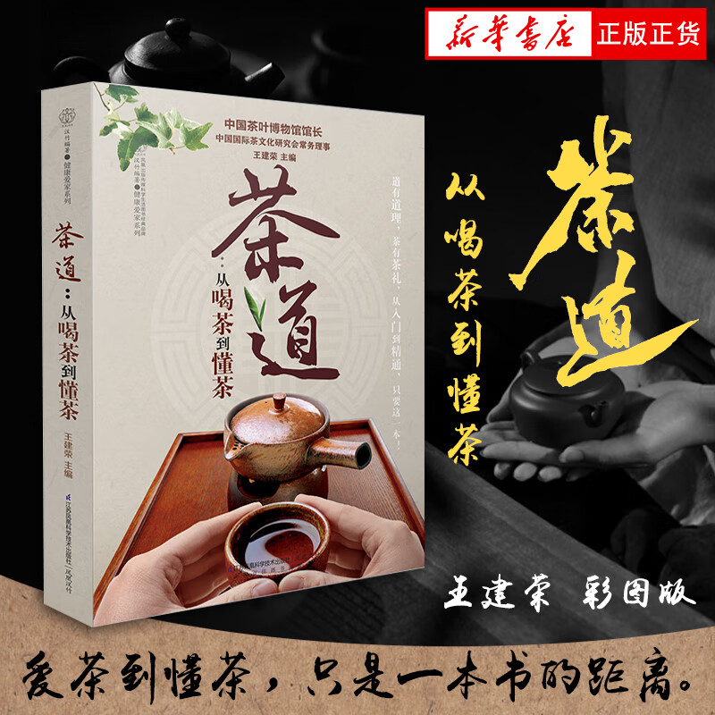 茶道--从喝茶到懂茶/健康爱家系列