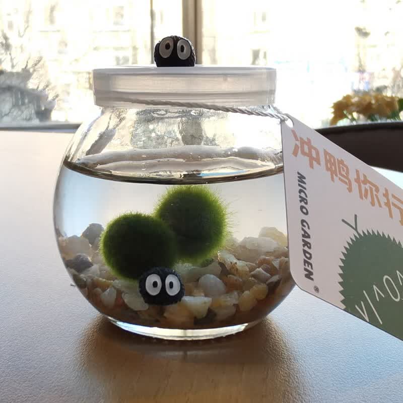 海藻球生态瓶生日礼物送闺蜜水培养植物水草小宠物微景观 冲鸭d款