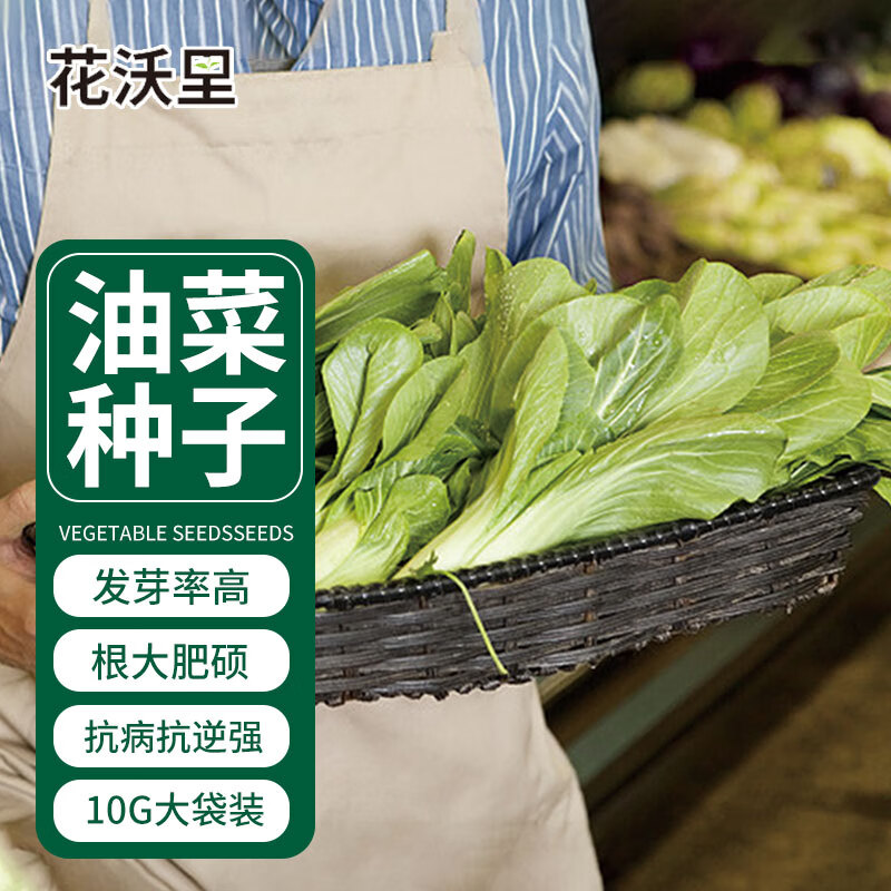 蔬菜类历史价格在线查询|蔬菜类价格走势