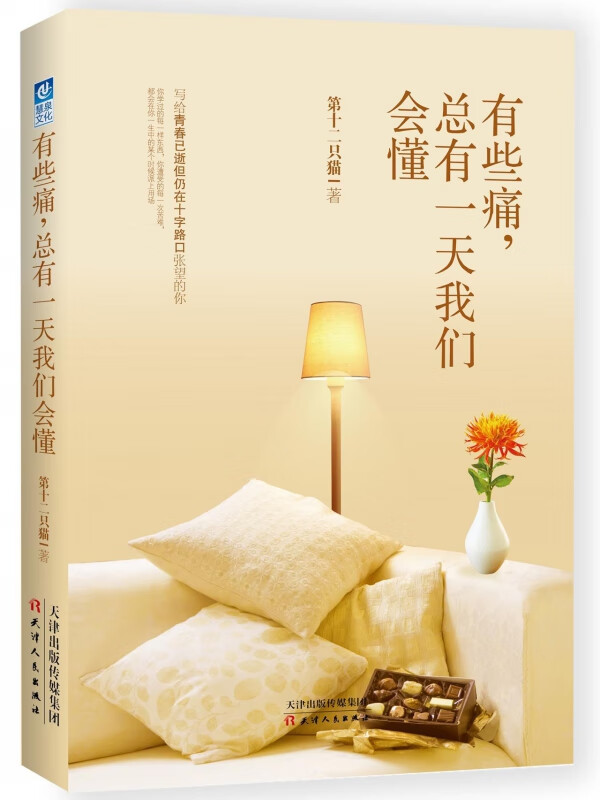 有些痛总有一天我们会懂
