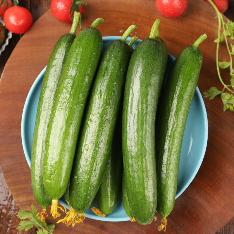 水果小黄瓜新鲜无刺小黄瓜1斤5斤脆甜小青瓜生吃当季蔬菜整箱批发