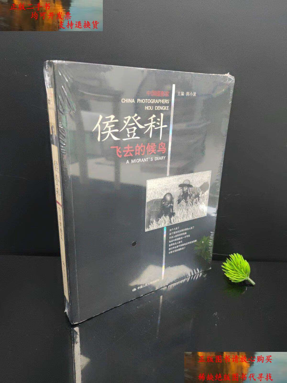 【二手书9成新】飞去的候鸟 /陈小波 中国人民大学