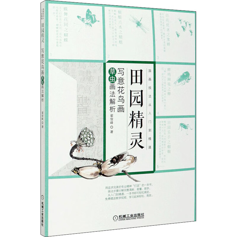 田园精灵 写意花鸟画草虫画法解析