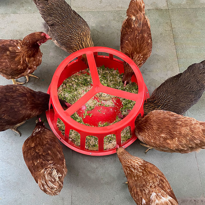 养舒大鸡食槽饲料槽圆食盆养鸡场鸭鸡狗叹气喂食器喂鸡工具食槽饲料盆