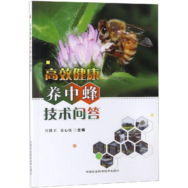 高效健康养中蜂技术问答