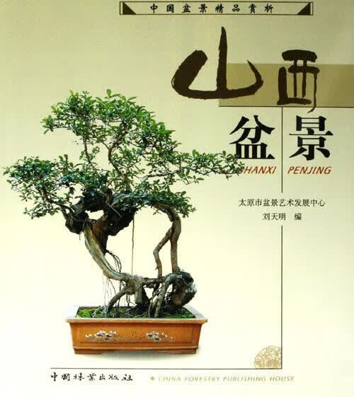 山西盆景 刘天明 家居 9787503841774