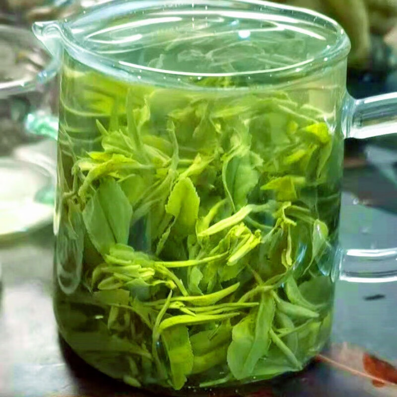 正宗山东日照绿茶金茶芽2021新茶特级明前绿茶豆香浓香型 250克