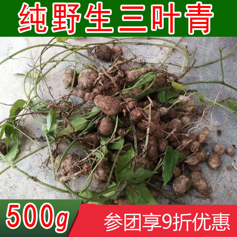 正宗三叶青小儿新鲜金线吊葫芦药材500g夜之君