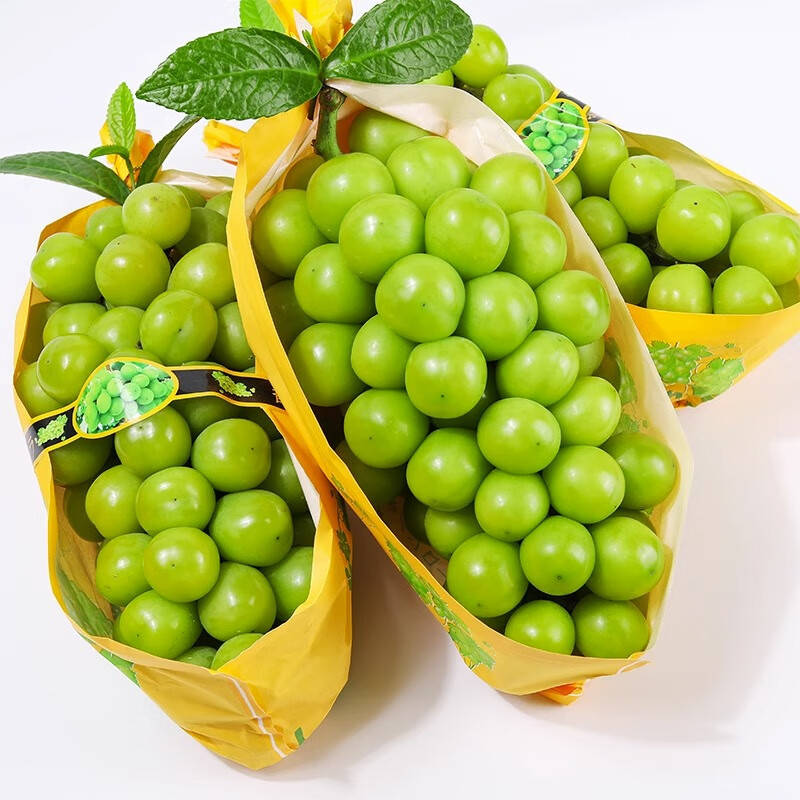 拍3件 生果乐【jd空运】阳光玫瑰葡萄 晴王香印提子 应季时令新鲜水果