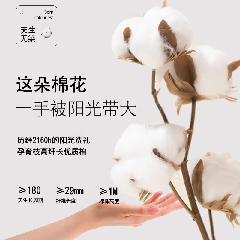浪莎少女内衣9-10-12发育期青春期中小学生小背心女童女孩亲肤文胸 白色+紫色 均码 L建议体重90-110斤