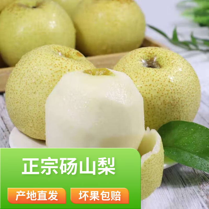 正宗安徽砀山酥梨 砀山梨  酥梨止咳润喉 梨子水果 [9斤]精品果彩箱装