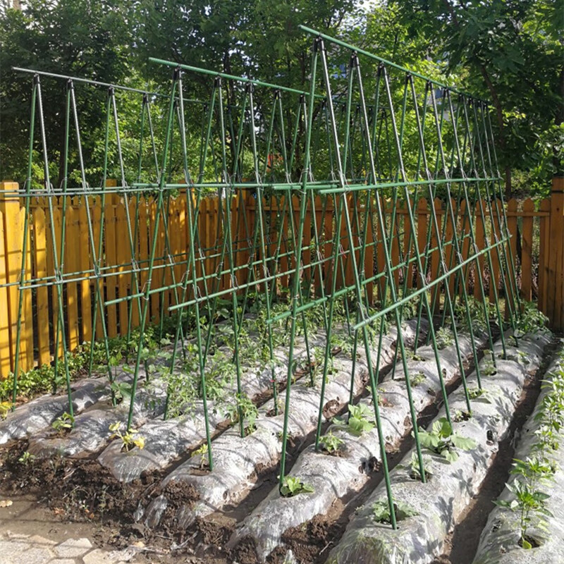 苏塑黄瓜豆角爬藤架种菜架子庭院葡萄架包塑钢管植物支架户外攀爬架子 16mm粗长2.1米*高2.1米-5横10竖