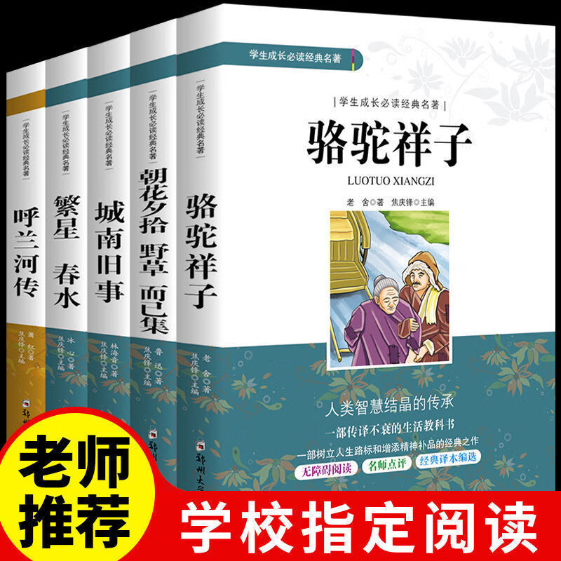 朝花夕拾城南旧事繁星春水呼兰河传骆驼祥子鲁迅老舍林海音原著书 老师5册