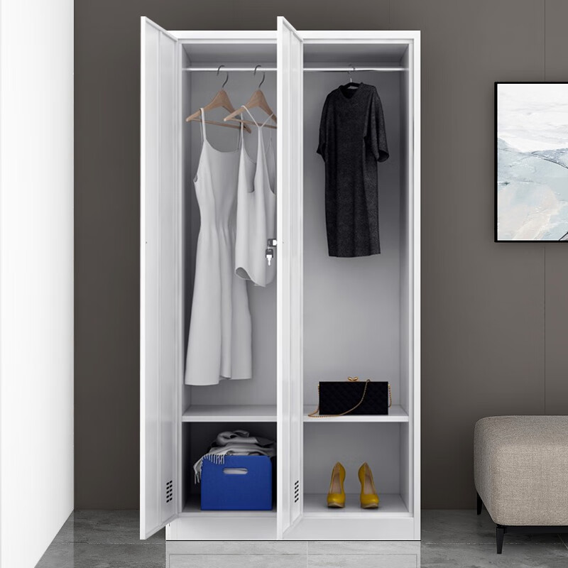 洛克菲勒二门柜铁皮柜储物柜员工柜更衣柜宿舍衣柜储物柜浴室铁皮柜