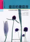 后的蘑菇房 马翀炜 主【正版】