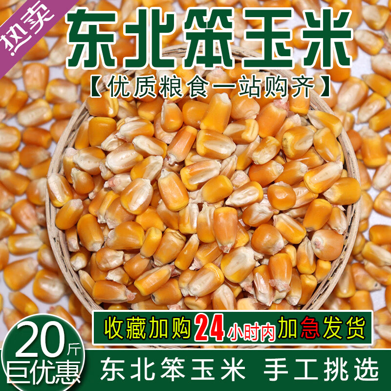 维霆 东北农家玉米玉米粒 大粒干玉米酿酒喂鸽子粮杂粮新鲜20斤