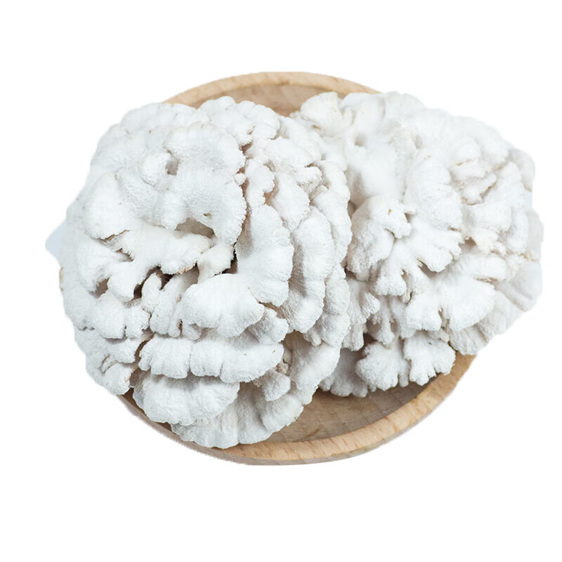 宏园云南新鲜白参菌500g当季食用菌菌菇特产非干货新鲜蔬菜 家庭装500