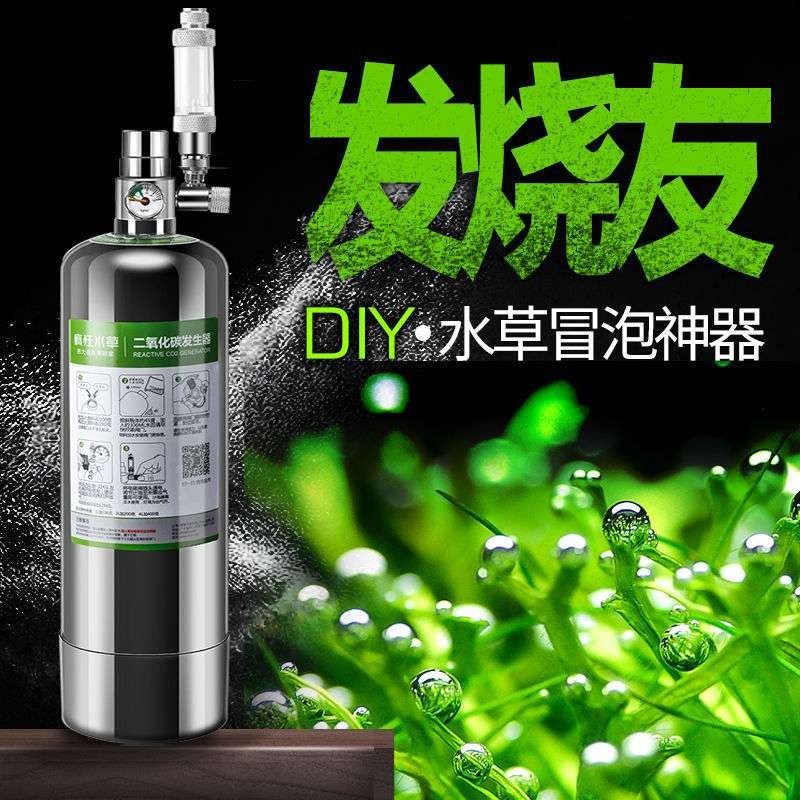 SALE/58%OFF】 CO2拡散器 ステンレスCO2ディフューザー 平底 拡散部直径2.4cm 全長20cm 水草水槽用 水草育成 CO2添加 medimind.com.au SALE/58%OFF】 CO2拡散器 ステンレスCO2ディフューザー 平底 拡散部直径2.4cm 全長20cm 水草水槽用 水草育成 CO2添加 medimind.com.au