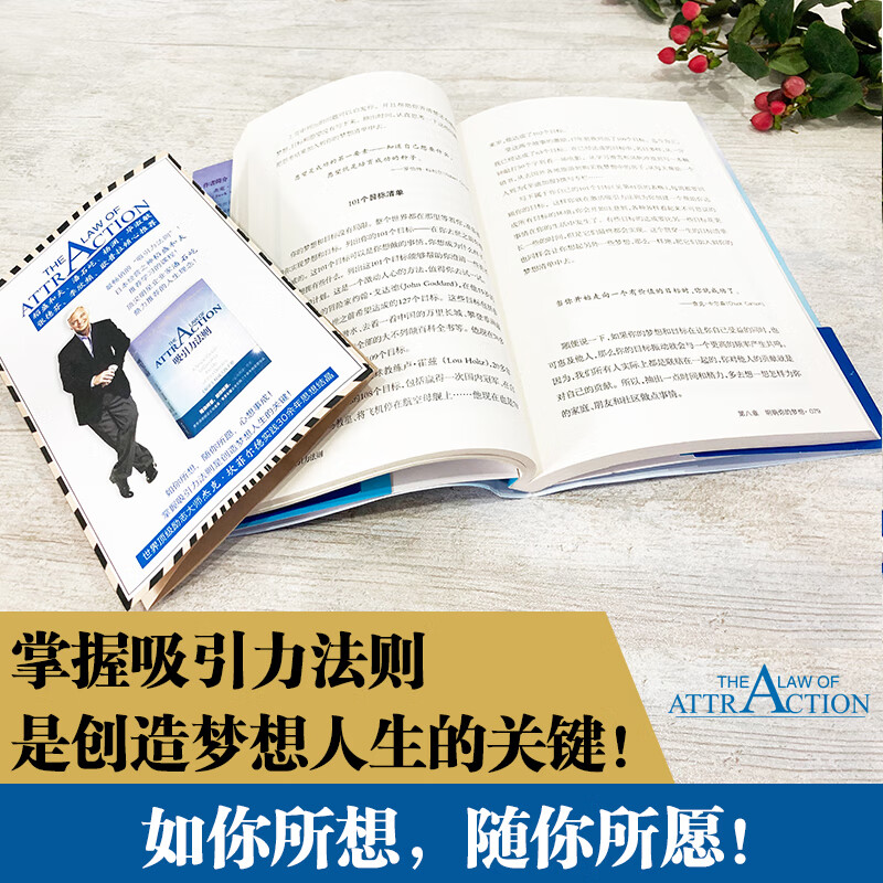 吸引力法则（稻盛和夫推荐学习的课程。掌握吸引力法则是创造梦想人生的关键！销售、谈判、职场、人际关系……成功工具书。）