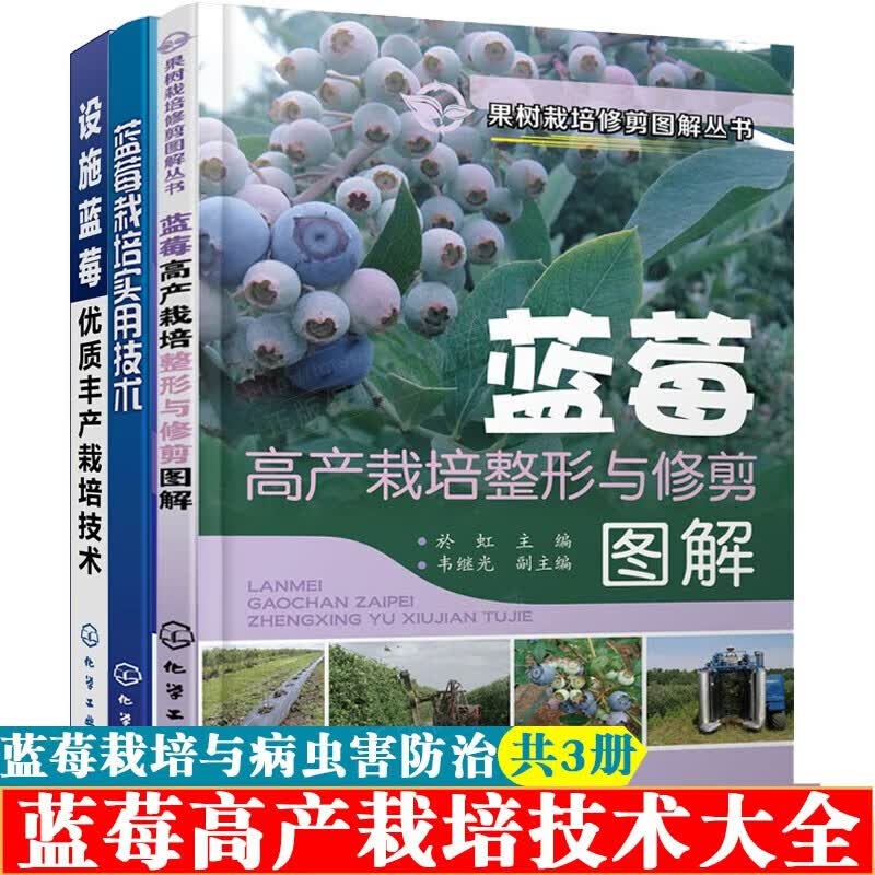 蓝莓栽培种植技术大全书籍蓝莓栽培实用技术+蓝莓高产栽培整形与修剪图解+设施蓝莓丰产栽培技术 蓝莓病虫害防治蓝莓高效栽培技术 蓝莓栽培种植技术书籍 3本使用感如何?
