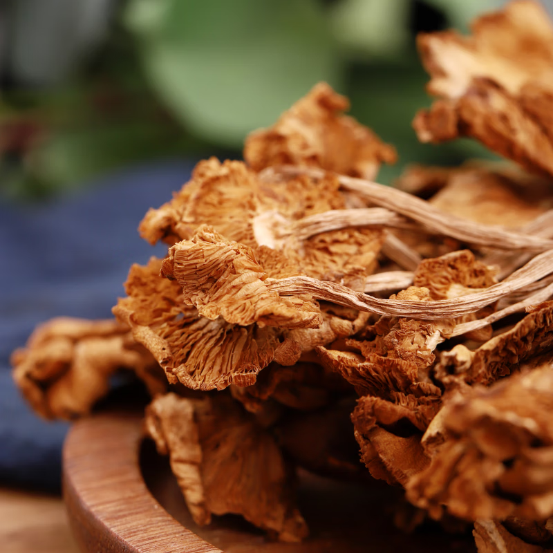 鲜有志茶树菇干货农家自制香菇不开伞茶树菌