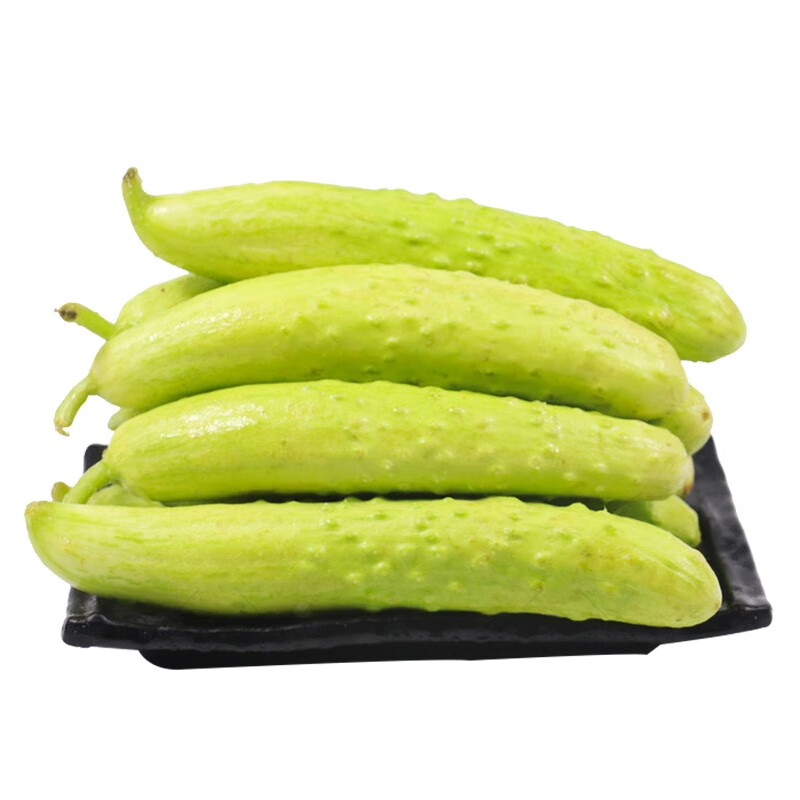 良知农哥 正宗海阳白玉黄瓜 鲜嫩小黄瓜蔬菜 健康轻食 1.5kg 3斤