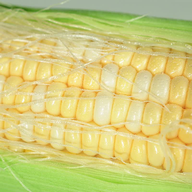 中鲜生水果玉米新鲜甜玉米 云南新鲜玉米茄果瓜蔬菜生鲜蔬菜 净重3斤 【单根300g+】金银水果玉米品质装