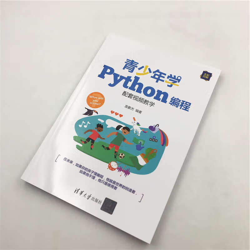 青少年学Python编程（配套视频教学）详情图