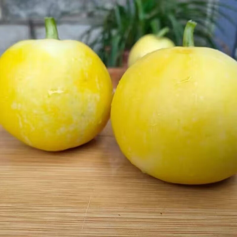 无名农夫山东蜜罐小香瓜蜜蜂甜瓜黄金绿宝石脆瓜应季新鲜水果礼盒 蜜宝净重4.5斤【口口留香】